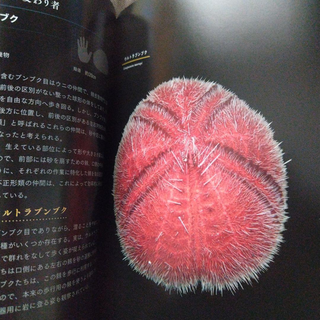 深海生物大事典 = THE ENCYCLOPEDIA OF DEEP-SEA … - メルカリ