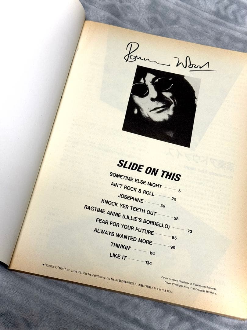 ローリングストーンズ / ロン・ウッド / スライド・オン・ディス