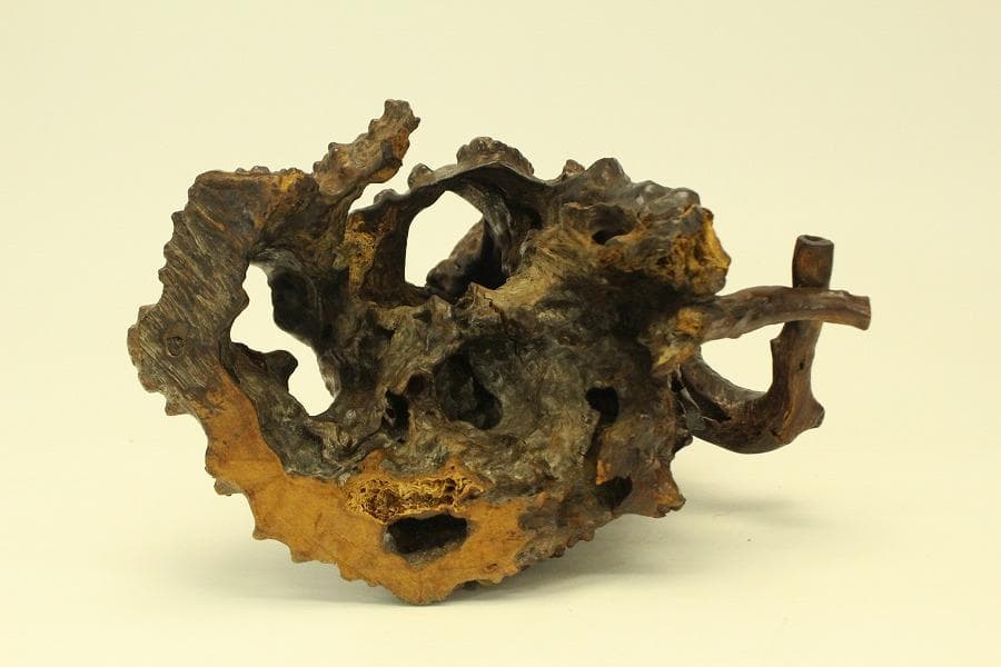 自然木 根木 奇木 置物(A917)