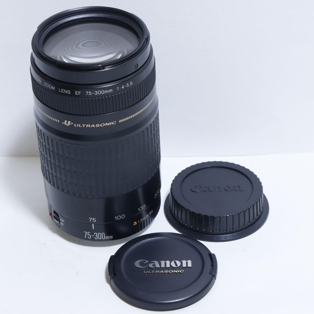 ◇超望遠&高速AF◇Canon純正 75-300mm I 超望遠レンズ!!◇