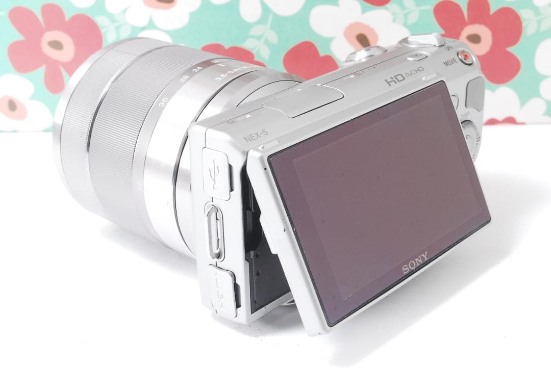 ❤お散歩カメラ❤ミラーレス❤SONY NEX-5❤スマホに送れる❤