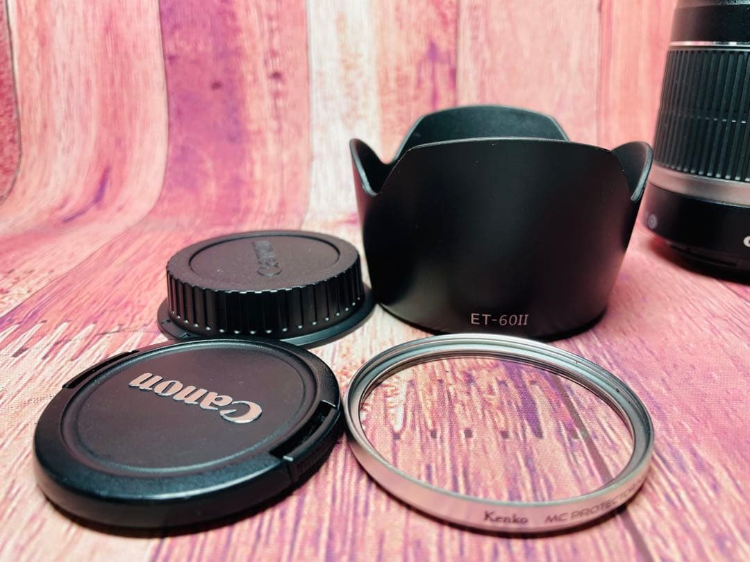 CANON キヤノン EF-S 55-250mm 1:4-5.6 IS