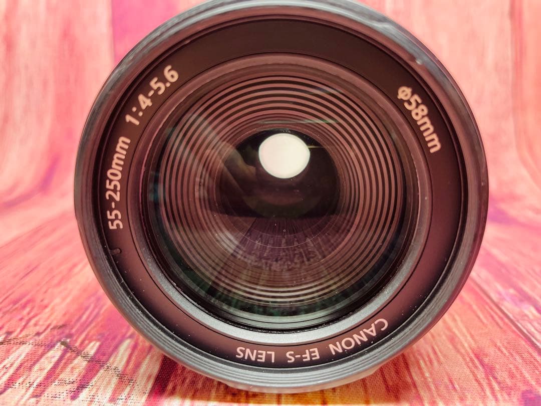 CANON キヤノン EF-S 55-250mm 1:4-5.6 IS