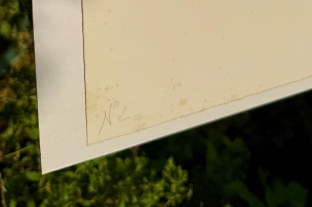 マルクシャガール 恋人たちの夢 リトグラフ 62cm x 80cm - メルカリ