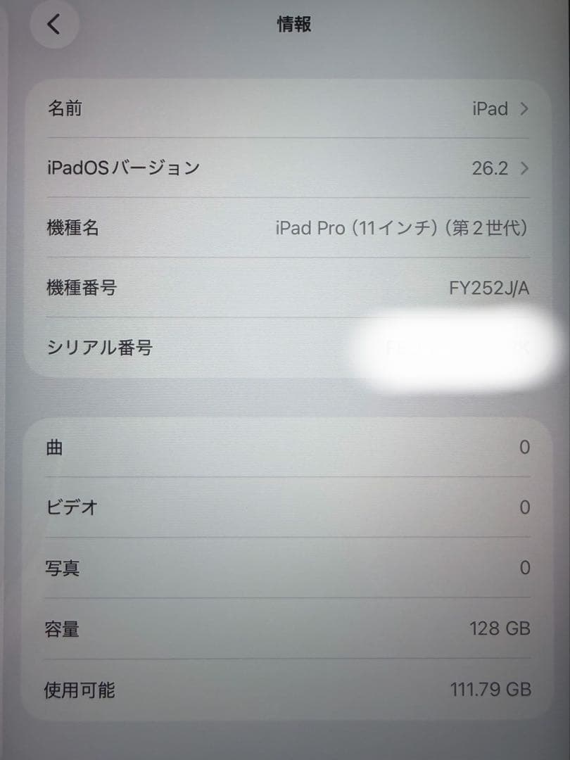 【美品】 iPadPro 11インチ 第2世代 (128GB）