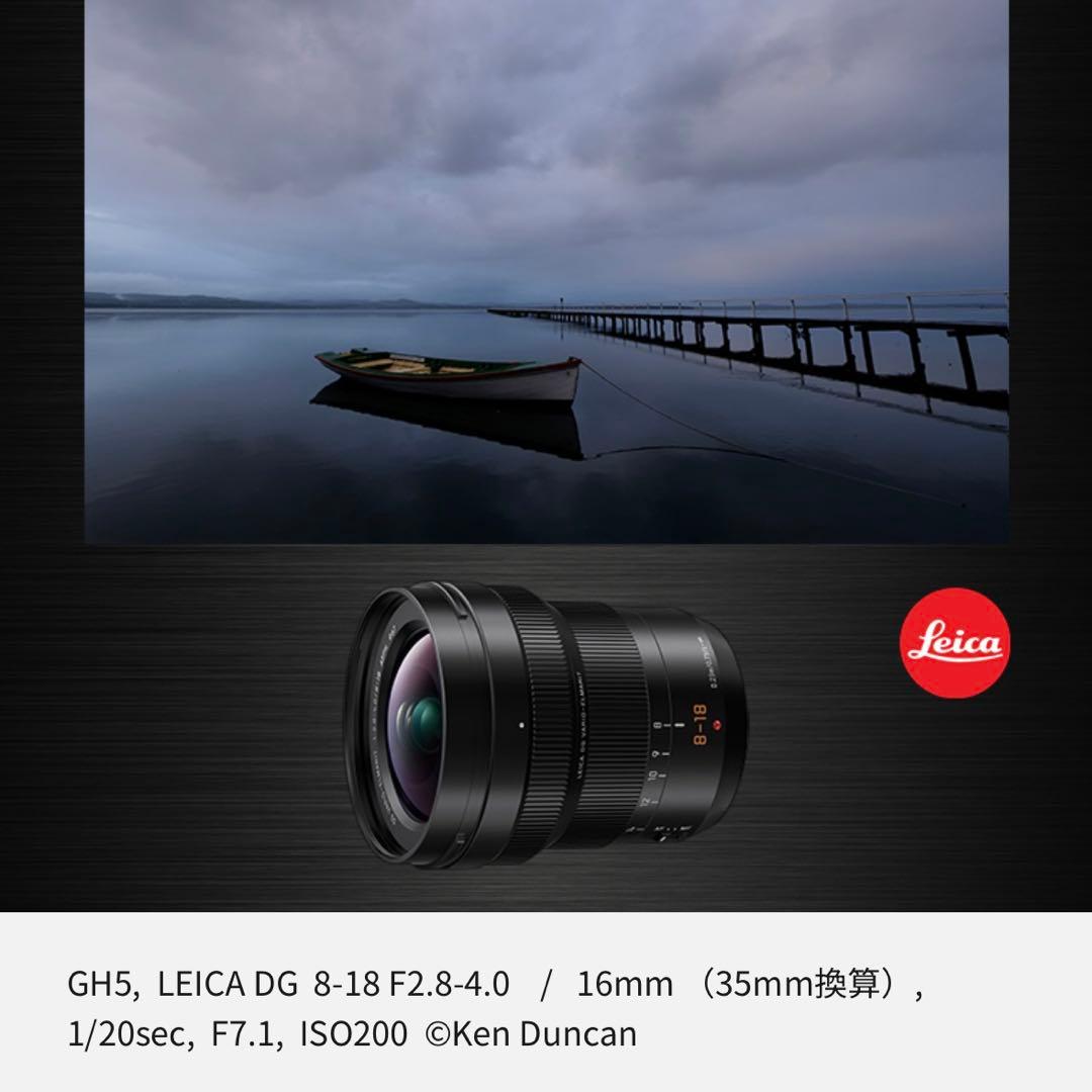 【極美品】LUMIX VARIO ELMARIT 8-18mm F2.8-4.0