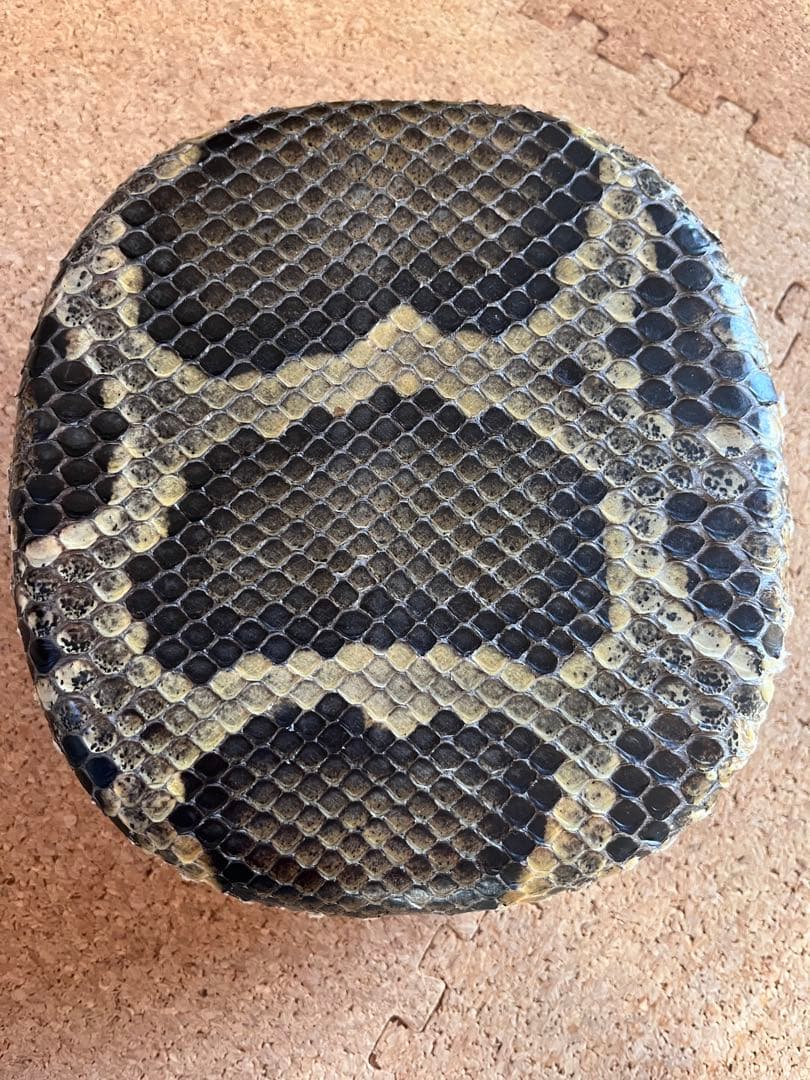 沖縄 伝統工芸士製作三線 カミゲン一枚貼り(本張)(製作証明あり