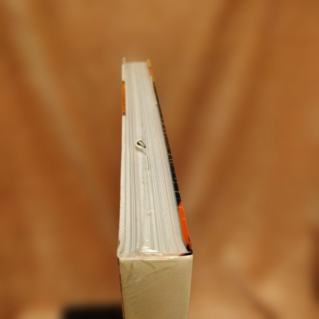 未開封　ロッキン・ジェリービーン画集