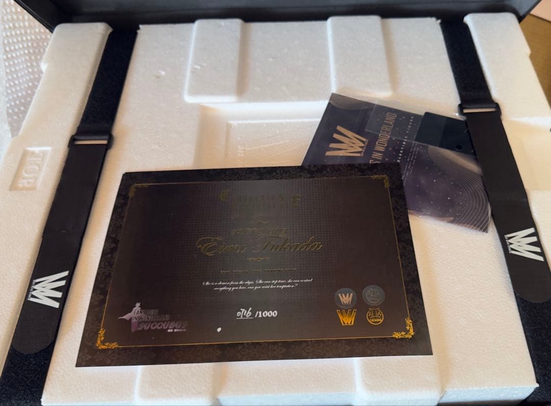 新品　深田えいみ『異世幻想』魅魔　フィギュア　Succubus サキュバス