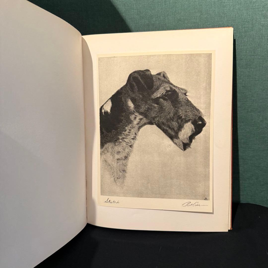 1931年出版 エッチング 犬 BERT COBB アメリカ
