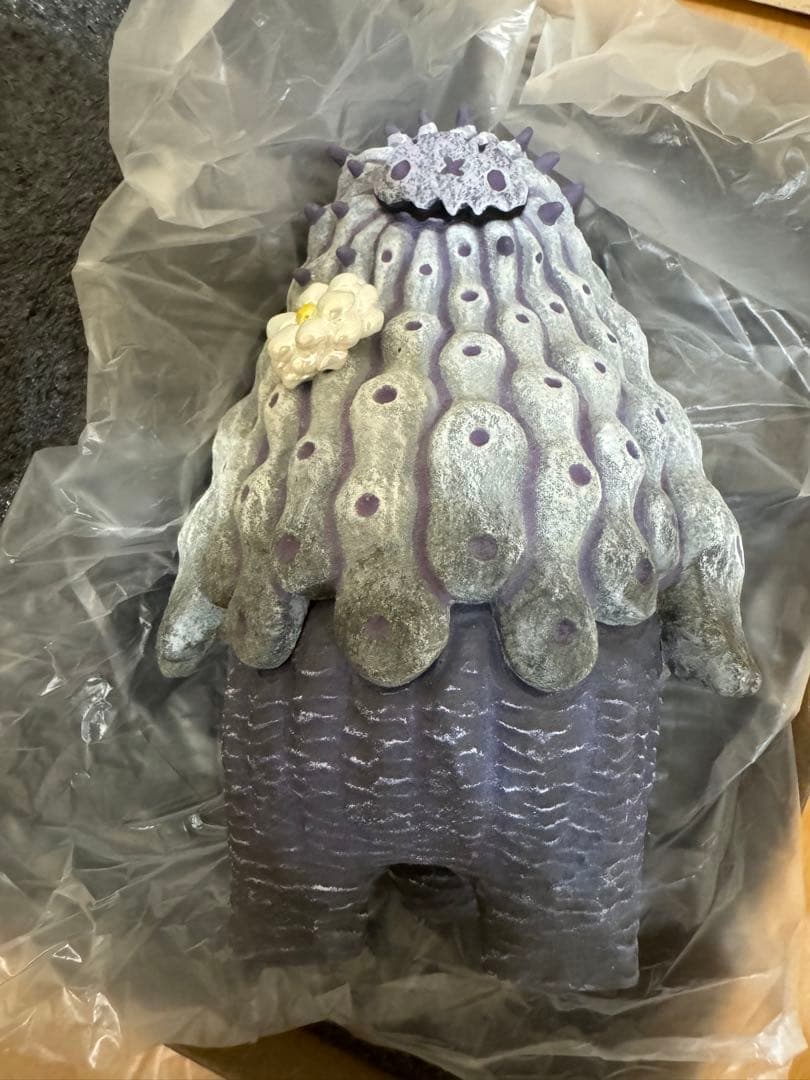 羅本製所COPIAPOA MONSTER Blue Skinned Hybrid