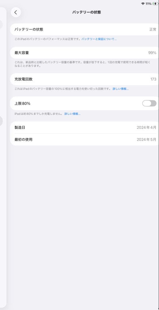 iPad Pro シルバー 本体M42024年256GB バッテリー容量99%
