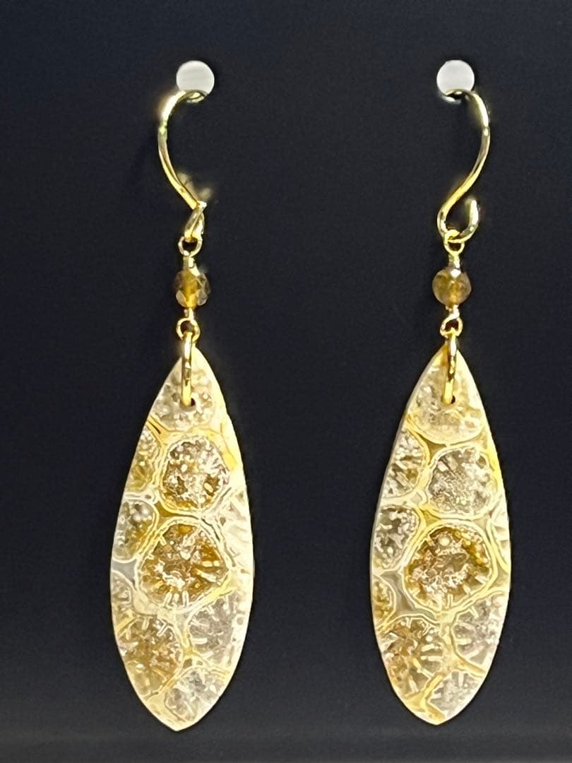 COCO＊＊様専用 14kgf フォッシルコーラル ピアス - メルカリ