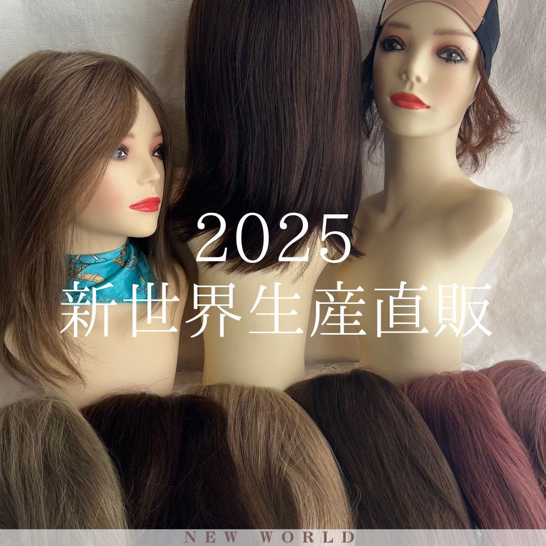 2025新世界 人毛100% ウィッグ フルウィッグ ブラック 医療ウィッグ