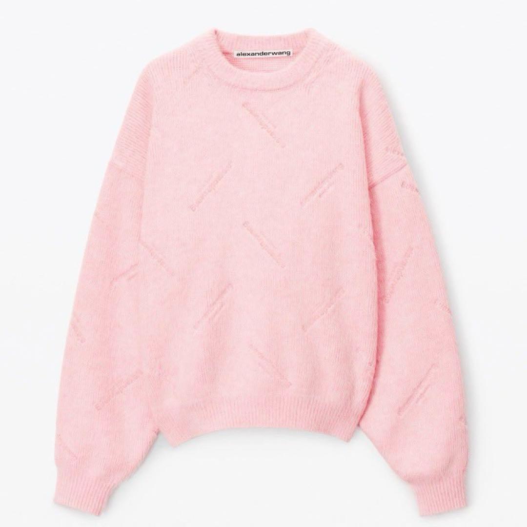 ALEXANDER WANG デボスドロゴ ブラッシュドクルーネック - メルカリ