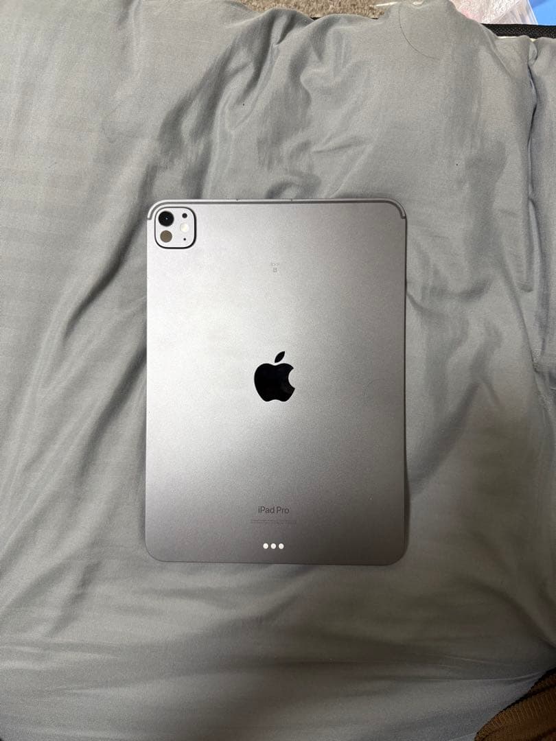 11インチiPad Pro (M4) 512GB Wi-Fi スペースグレー