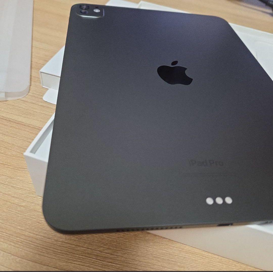 美品 ipad pro 11インチ M4 256 pencil Pro ケース