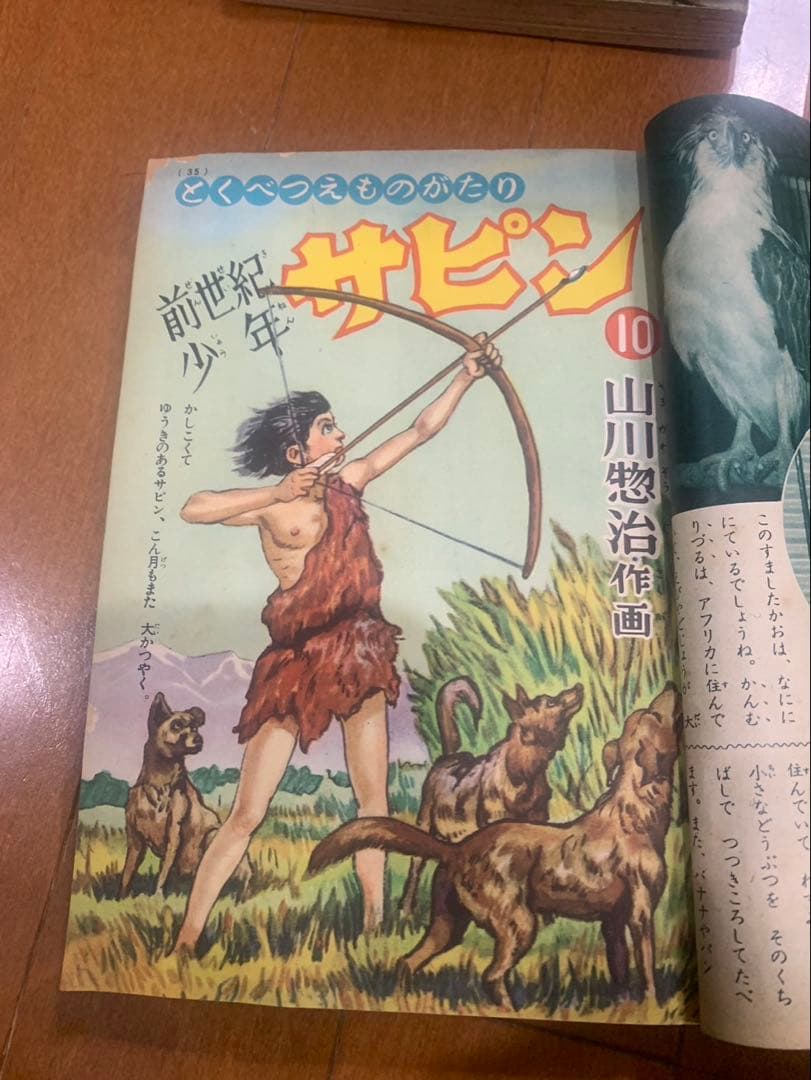 前世紀少年サピン 小学3年生 小学4年生 山川惣治 - メルカリ