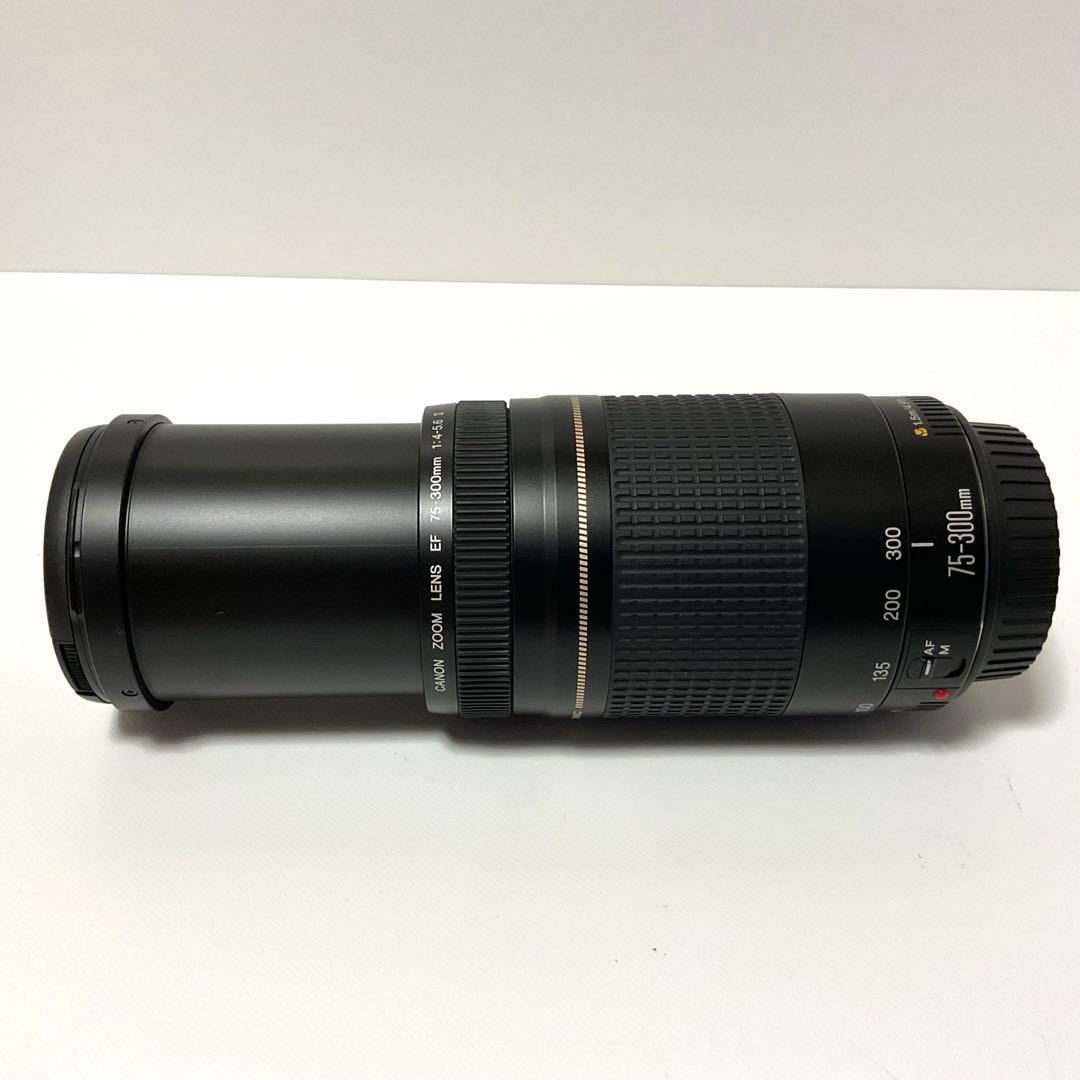 CANON キャノンズームレンズ　EF 75-300 F4-5.6Ⅱ ケース付き