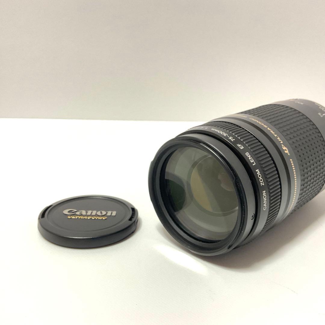 CANON キャノンズームレンズ　EF 75-300 F4-5.6Ⅱ ケース付き
