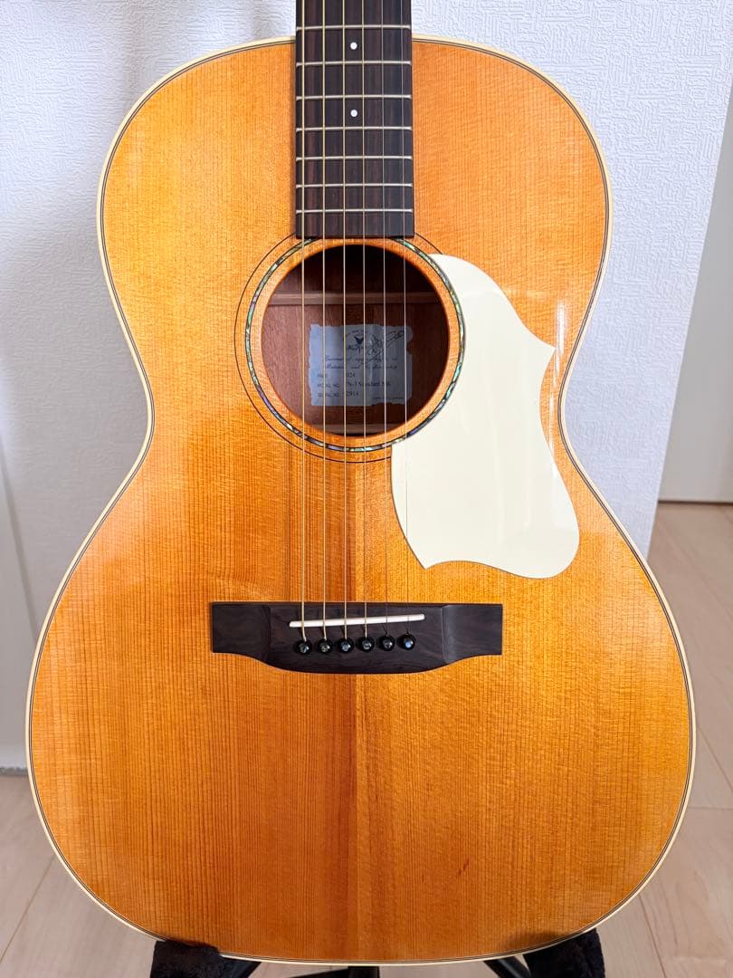VINCENT VN3 アコースティックギター - メルカリ