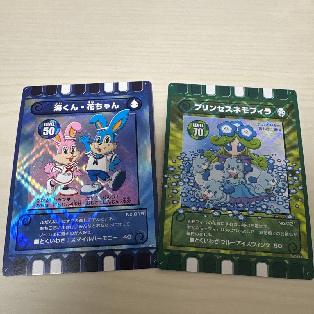 ぐるり森大冒険 トレーディングカードセット - メルカリ