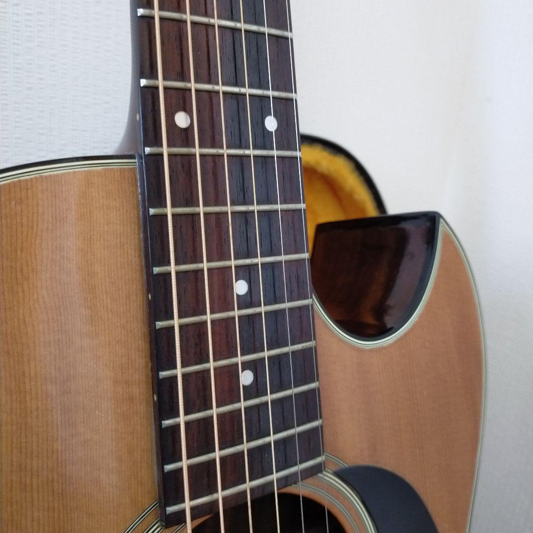 スリーエス Three S 希少フローレンタインカッタウェイ 限定モデル