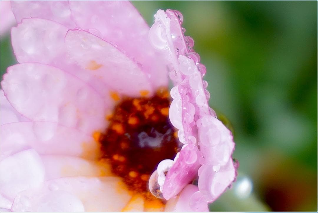 レンズ(ズーム) SONY E PZ 16-50mm F3.5-5.6 OSS SEL1650