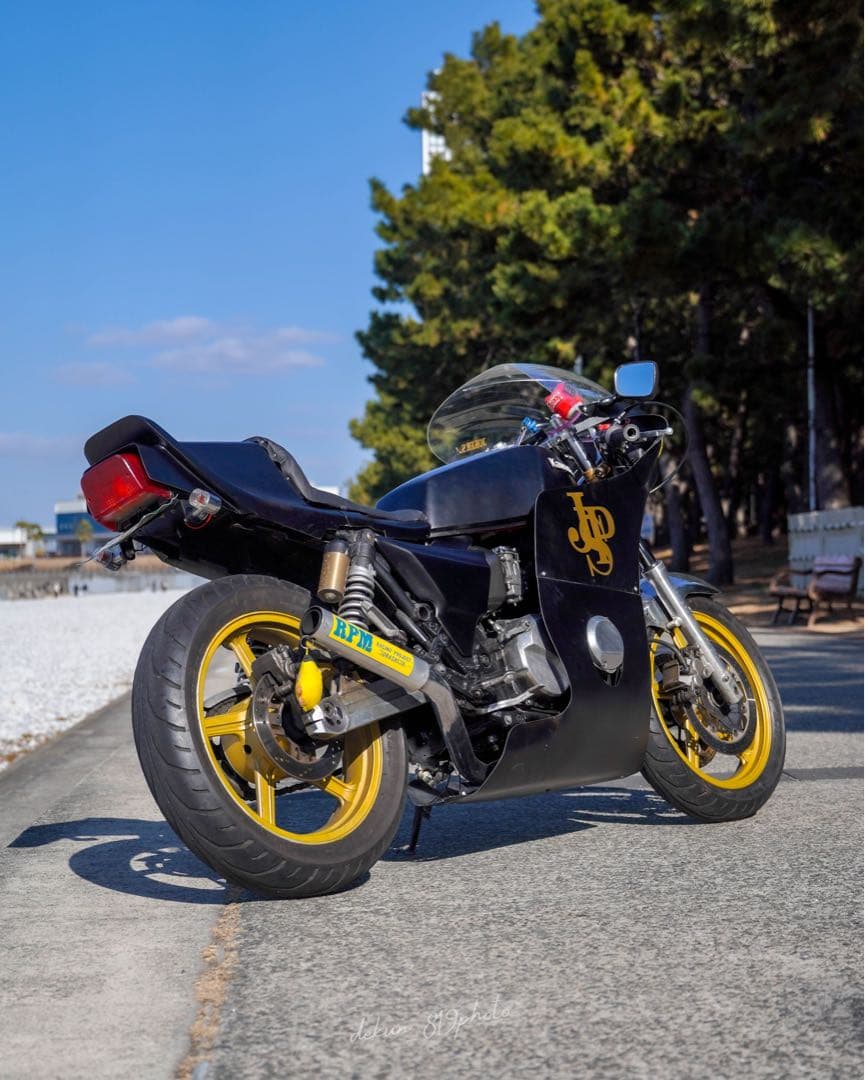 ⭐︎早い者勝ち⭐︎ ジョーカーズ ダイシンタイプフルカウル デュアル