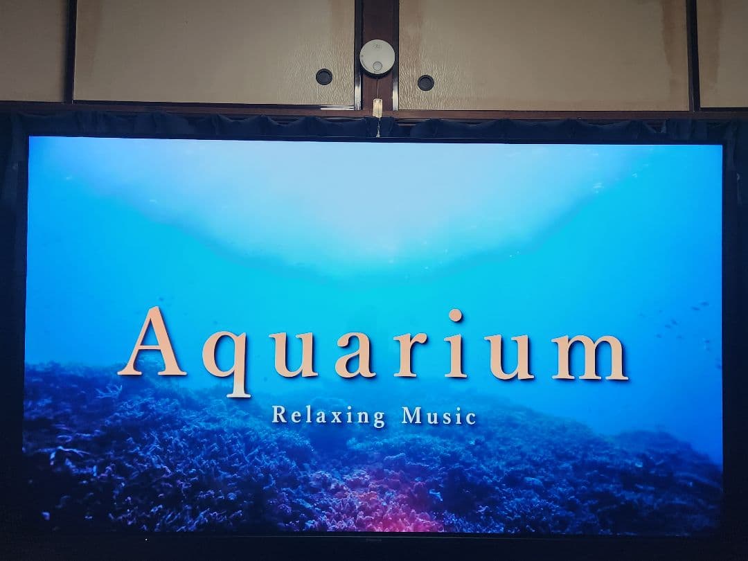 全国発送 23年製　パナソニック　有機EL TH-65LZ1800 65インチ