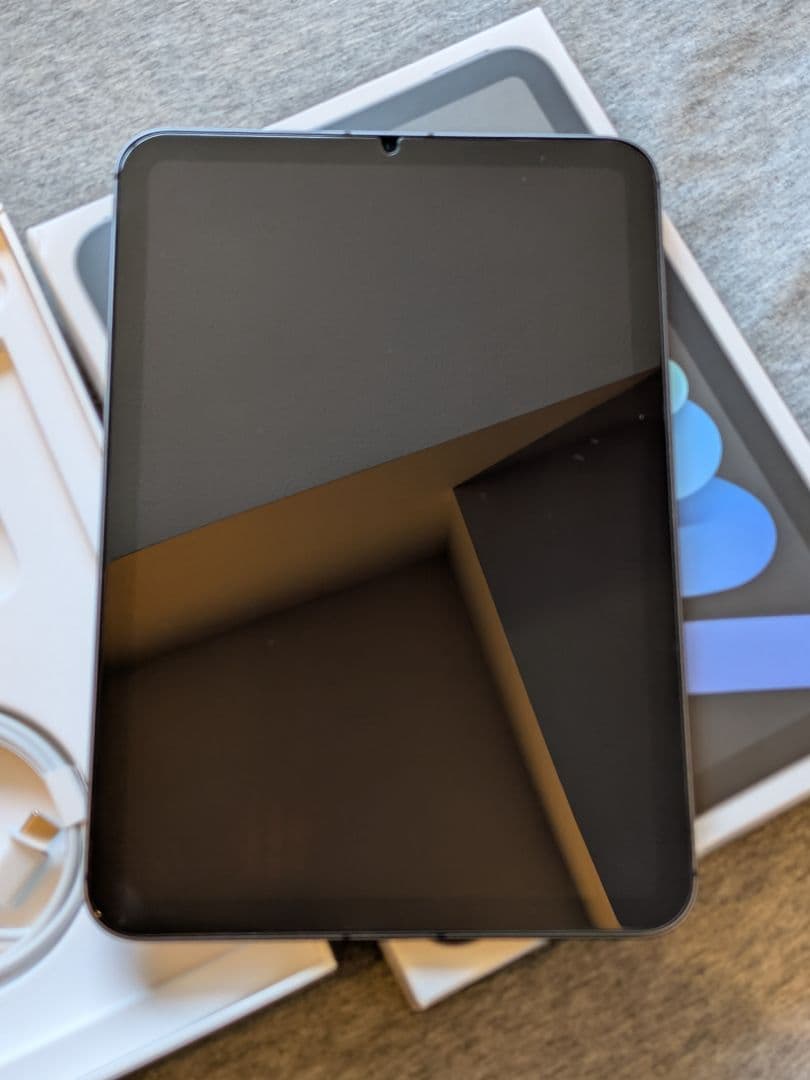 Apple iPad mini (第6世代) 256GB セルラー　SIMフリー