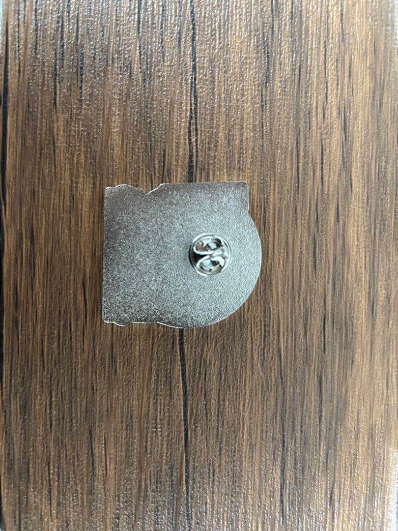 非売品】鬼滅の刃ピンバッジ（メイン4人と全柱） - メルカリ