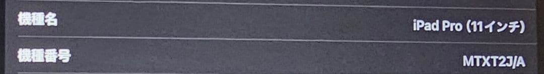 iPad Pro 11インチ(第1世代)512GB＋apple pencil