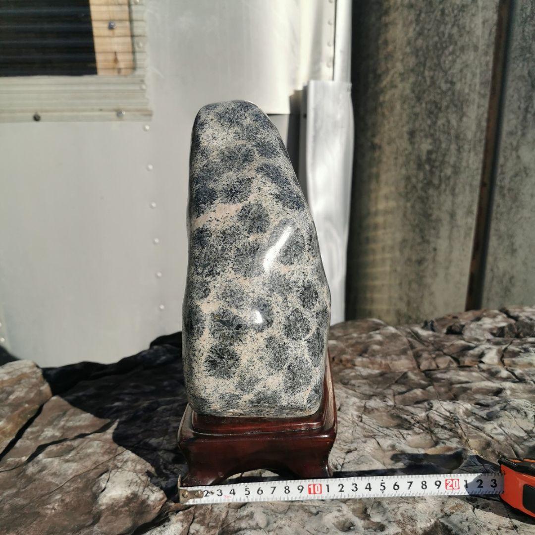 ナポレオン石 11.3キロ 球状閃緑岩 鑑賞石 石 置物 オブジェ