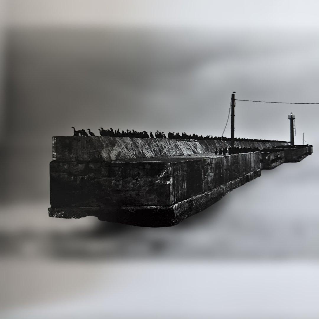 美品】 深瀬昌久 鴉 RAVENS MASAHISA FUKASE - メルカリ