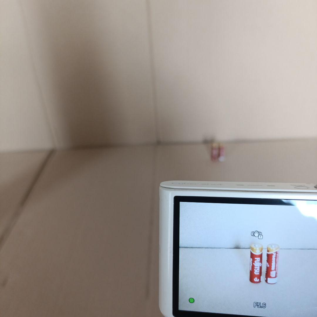 SONY Cyber-shot DSC-WX300 デジタルスチルカメラ