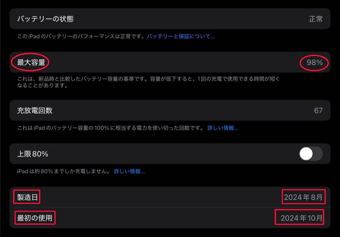【極美品】 iPad mini 7世代 A17Pro 本体 256GB セルラー