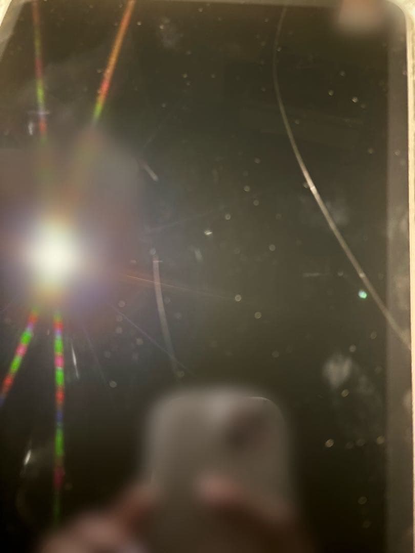 Apple iPadPro 11インチ(第4世代) 256GB