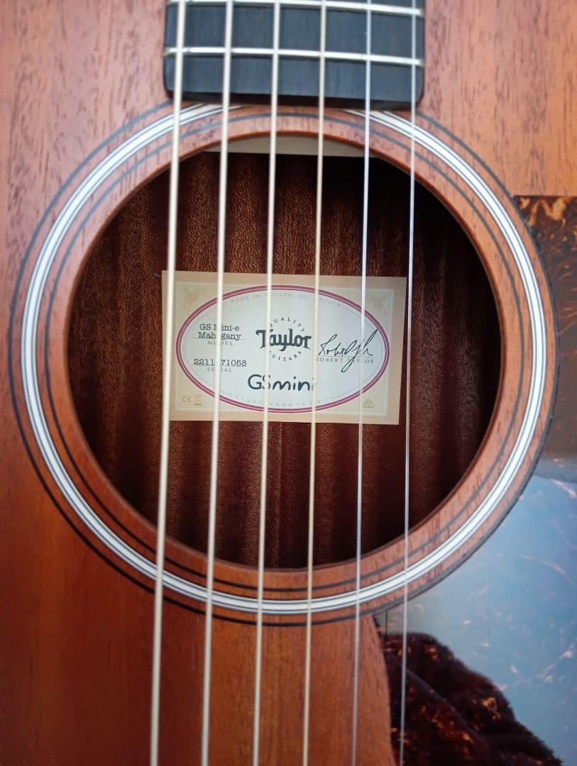 Taylor GS Mini-e Mahogany pickup付 専用ケース付 - メルカリ