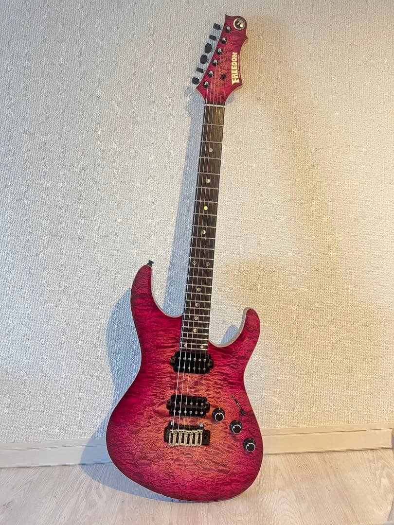 ギター FREEDOM CUSTOM GUITAR RESEARCH HYDRA 2P Freedom Custom Guitar Research | O.S Hydra 24F-2Point (瑠璃