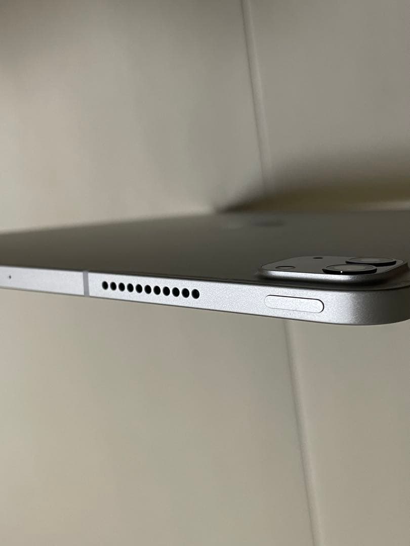 Apple iPad Pro 12.9インチ256GB 第5世代/PITAKA