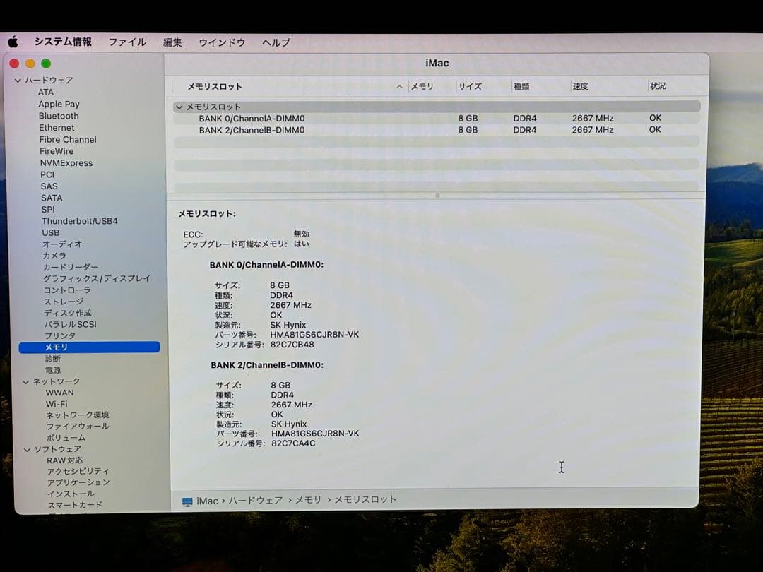 Apple iMac 2019 i5 3.0GHz 16GB ストレージ 1TB