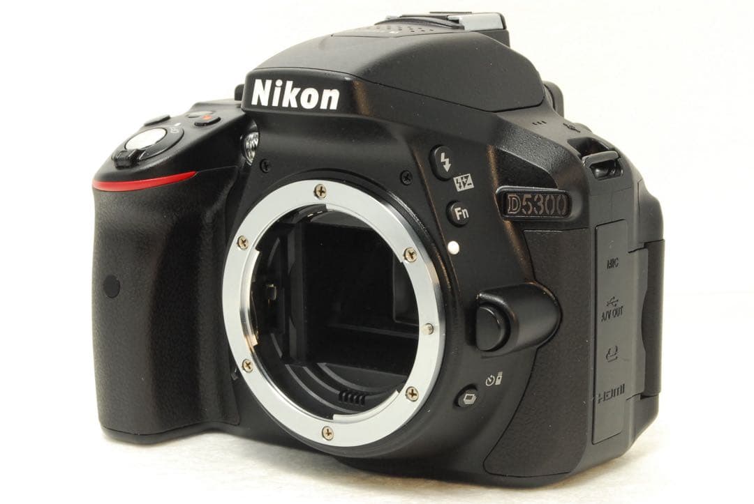 たねわんこ様フォロー割_Nikon D5300 ❤️ダブルレンズ 一眼レフ