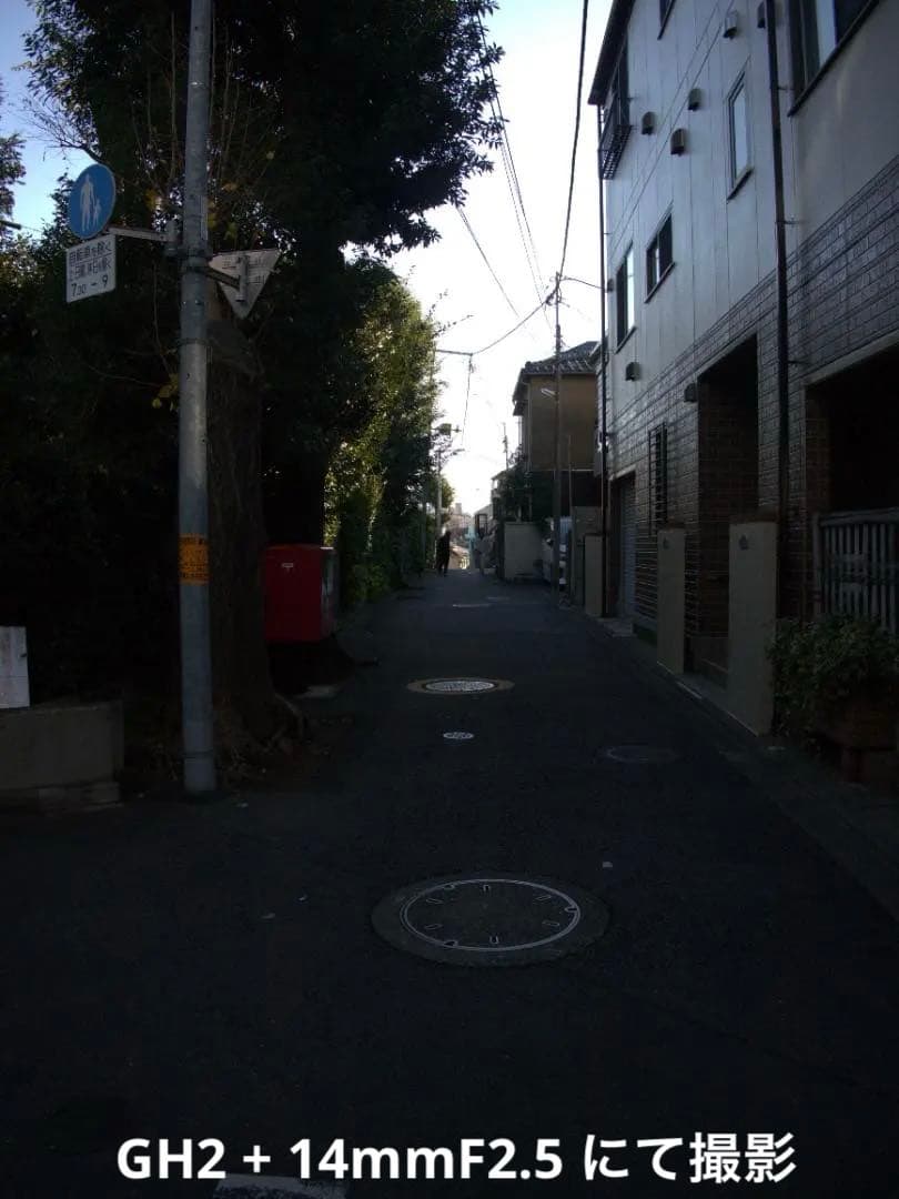 【動画の名機】Panasonic LUMIX DMC-GH2 ボディ