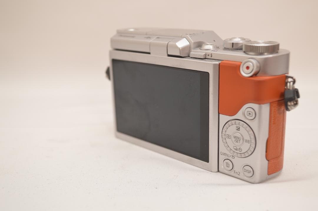 ✨美品✨ Panasonic LUMIX DC-GF9 ミラーレス一眼 ボディ