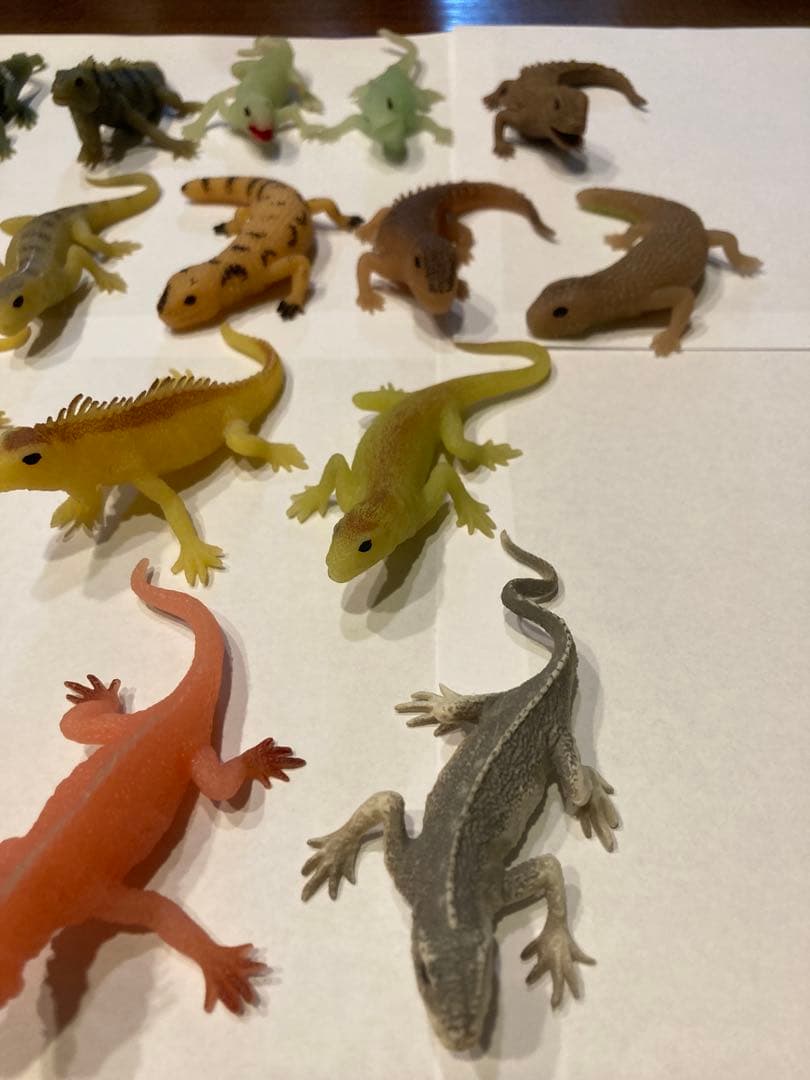 ディアゴスティーニ イグアナ&coコンプリート22体 - メルカリ