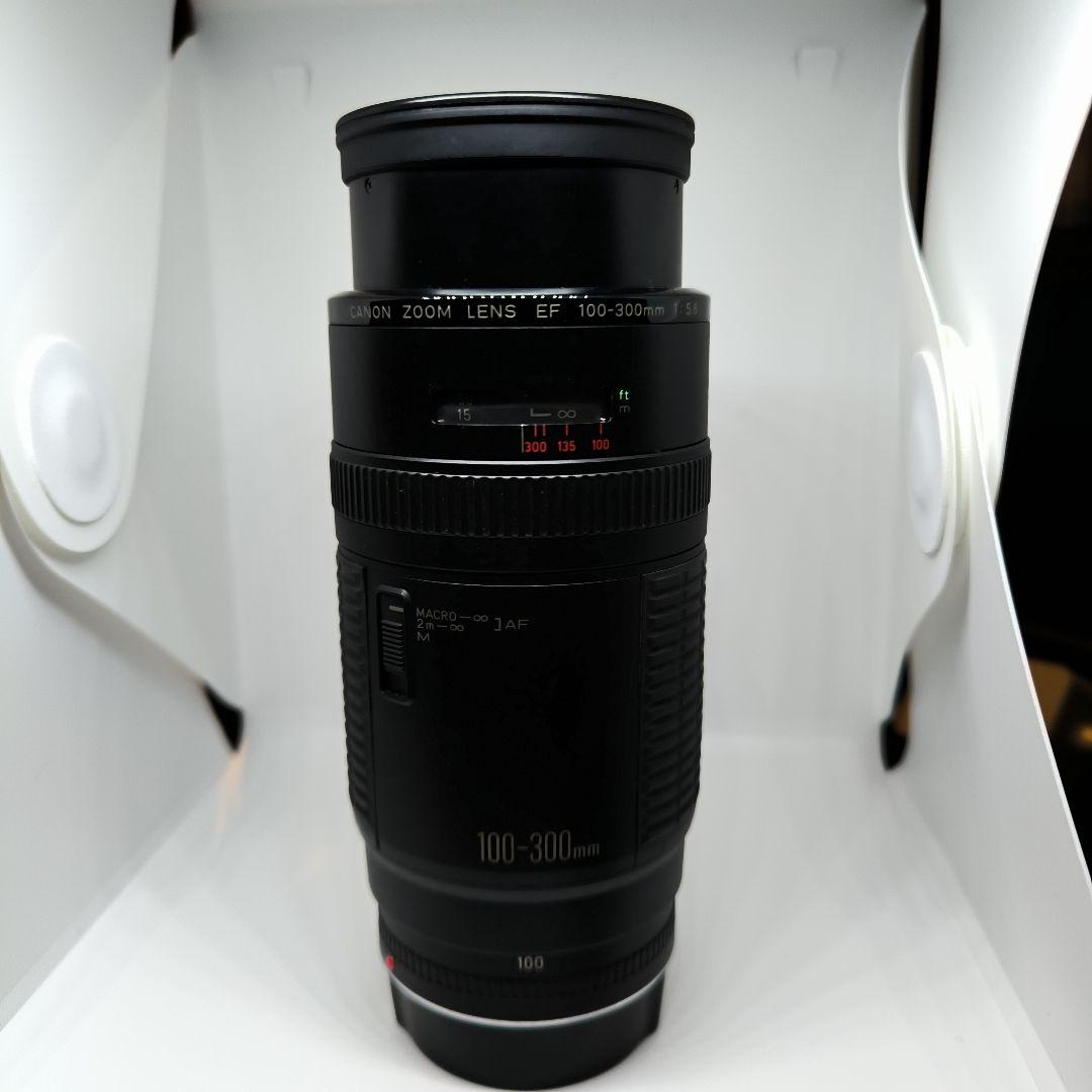 遠くの風景も人物もOK✨Canon EF 100-300 超望遠レンズ キヤノン