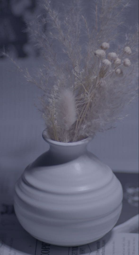 レア？　ALPA 135mm f2.8 m42マウント