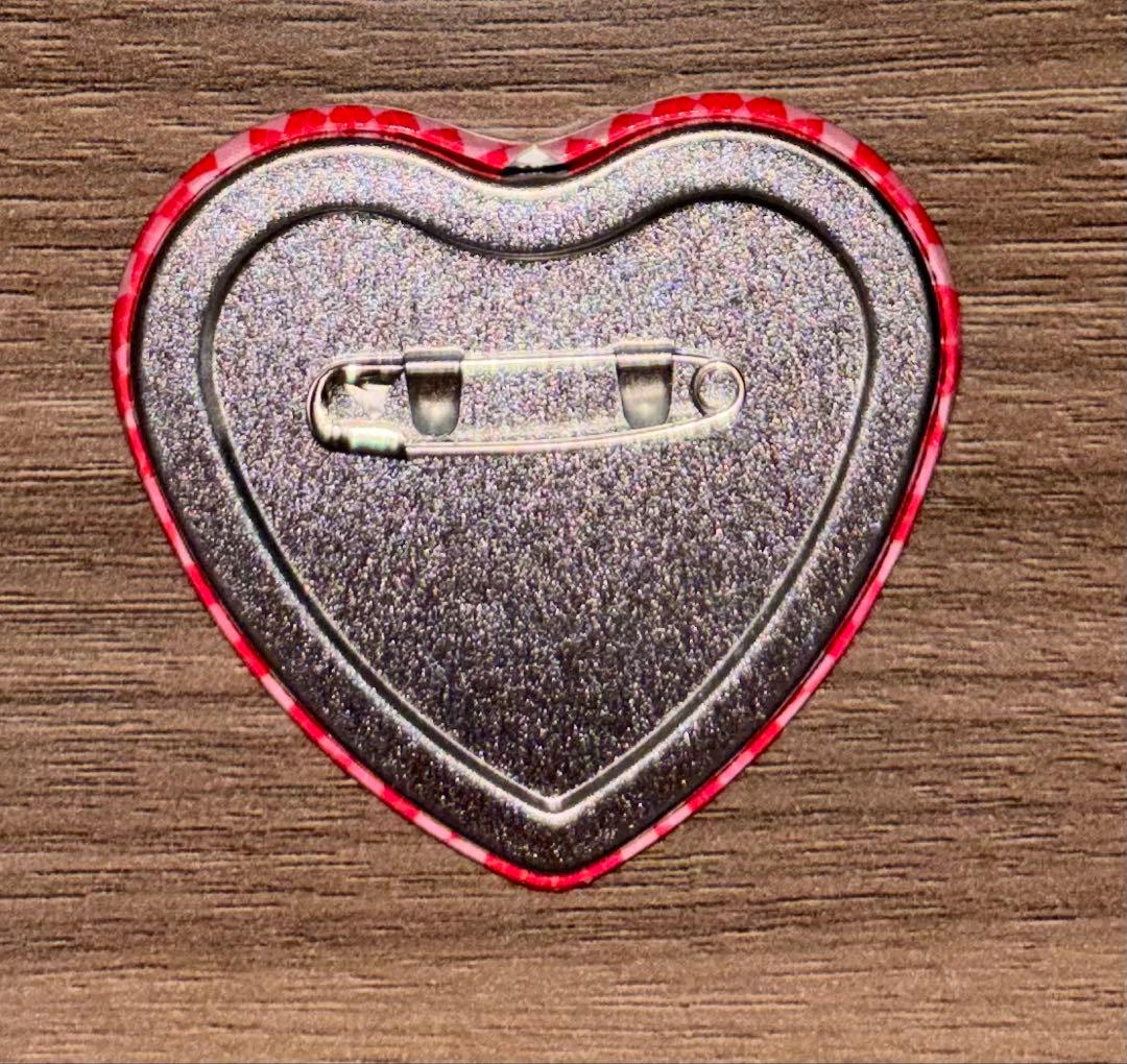 ある日、お姫様になってしまった件について ある姫 缶バッジ ルーカス