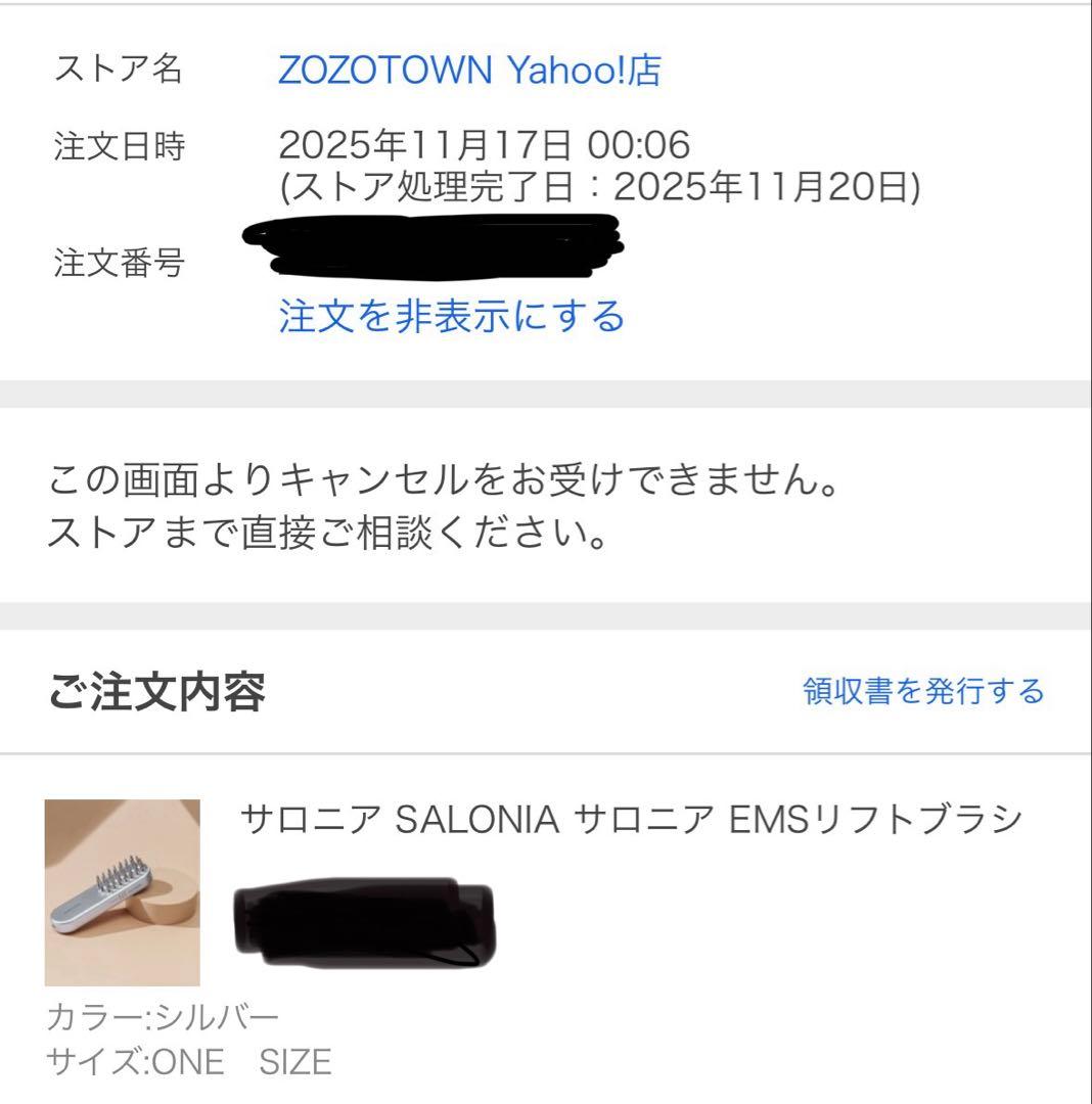 【 美品 】 SALONIA EMS LIFT BRUSH シルバー　サロニア